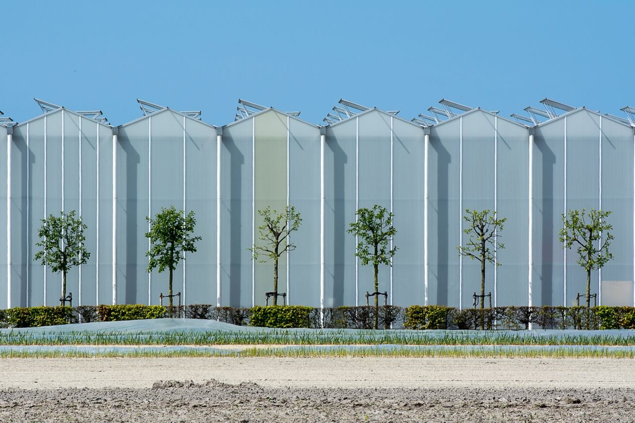 heros-img Contemporary industrial greenhouse exterior with aligned young trees under a clear blue sky.